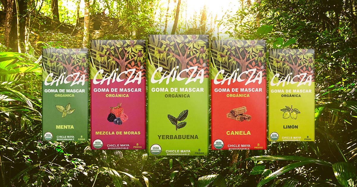 Chicza organic Mayan rainforest gum
